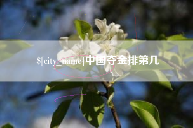 高密中国夺金排第几