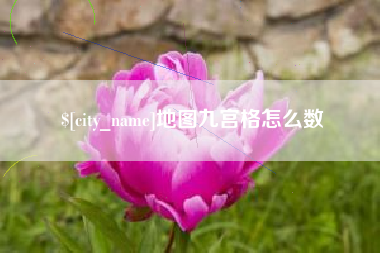 高密地图九宫格怎么数