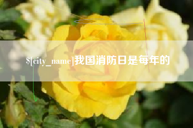 高密我国消防日是每年的