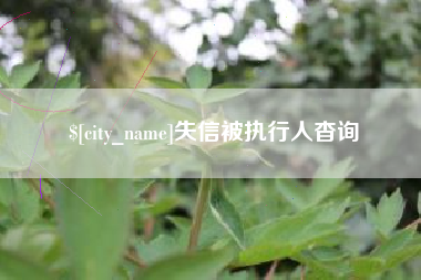 高密失信被执行人杳询