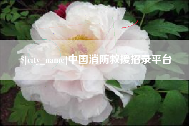 高密中国消防救援招录平台