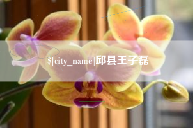 高密邱县王子磊