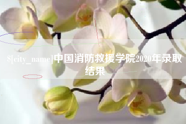 高密中国消防救援学院2020年录取结果