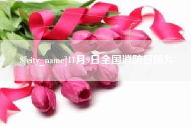 高密11月9日全国消防日图片