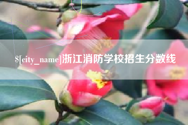 高密浙江消防学校招生分数线