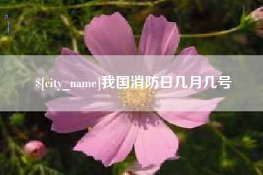 高密我国消防日几月几号