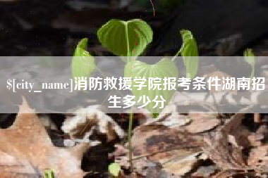 高密消防救援学院报考条件湖南招生多少分