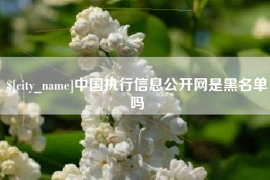 高密中国执行信息公开网是黑名单吗