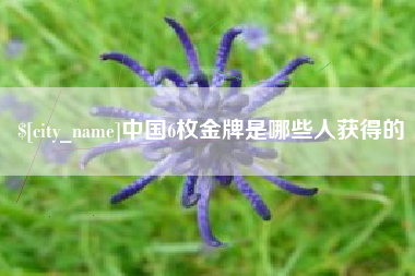 高密中国6枚金牌是哪些人获得的