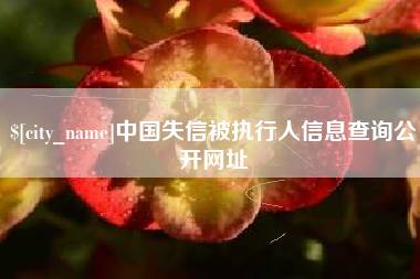 高密中国失信被执行人信息查询公开网址