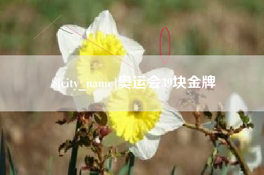 高密奥运会39块金牌