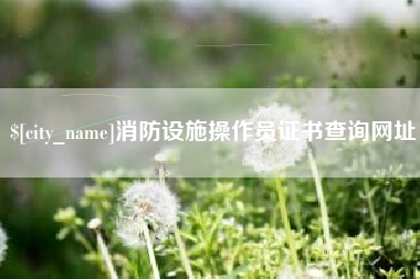 高密消防设施操作员证书查询网址
