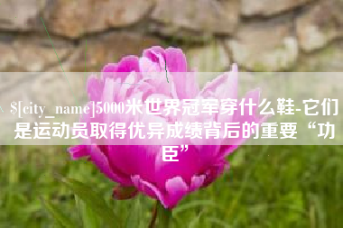 高密5000米世界冠军穿什么鞋-它们是运动员取得优异成绩背后的重要“功臣”