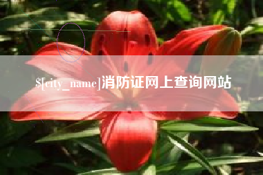 高密消防证网上查询网站