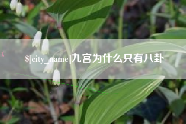 高密九宫为什么只有八卦