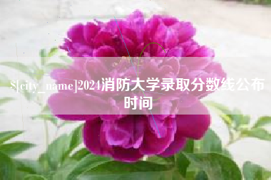 高密2024消防大学录取分数线公布时间