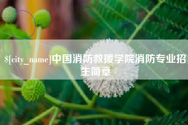 高密中国消防救援学院消防专业招生简章