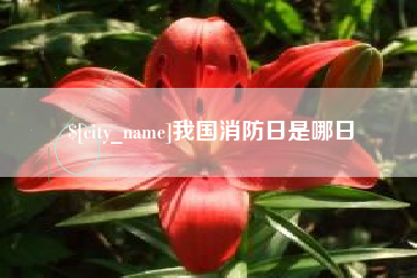 高密我国消防日是哪日