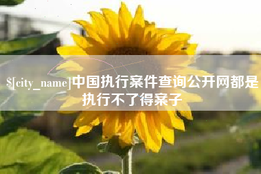 高密中国执行案件查询公开网都是执行不了得案子