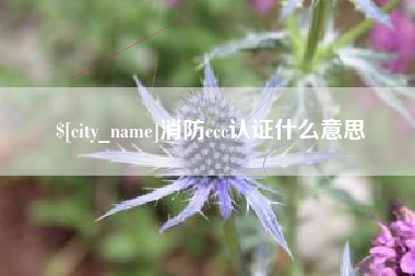 高密消防ccc认证什么意思