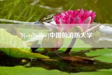 高密中国的消防大学