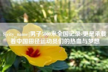 高密男子5000米全国记录-更是承载着中国田径运动员们的热血与梦想