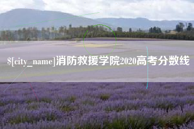 高密消防救援学院2020高考分数线