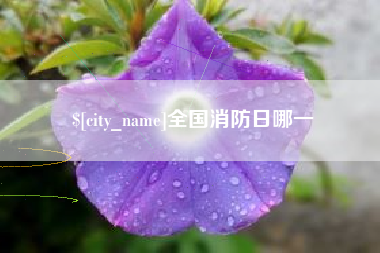 高密全国消防日哪一