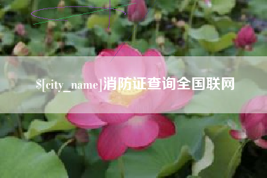 高密消防证查询全国联网