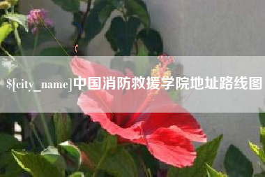 高密中国消防救援学院地址路线图