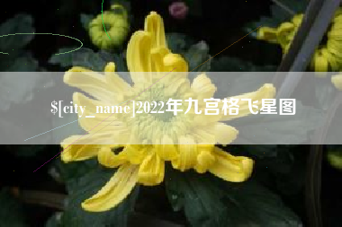 高密2022年九宫格飞星图