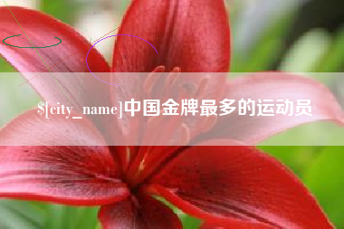 高密中国金牌最多的运动员