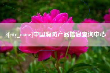 高密中国消防产品信息查询中心