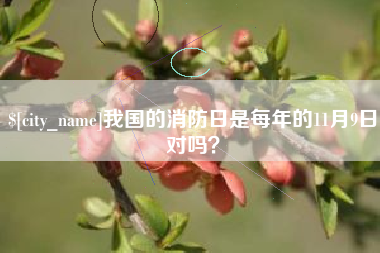 高密我国的消防日是每年的11月9日对吗？