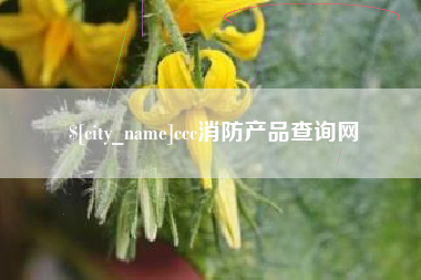高密ccc消防产品查询网
