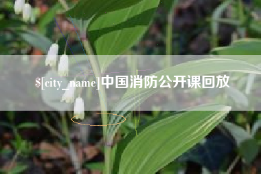 高密中国消防公开课回放