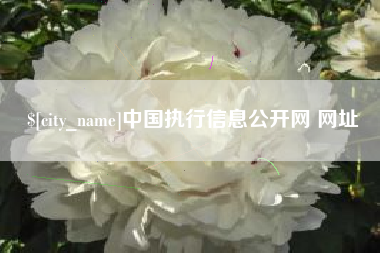 高密中国执行信息公开网 网址