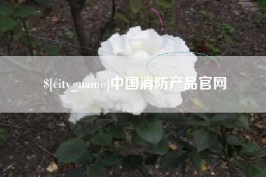 高密中国消防产品官网