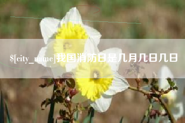高密我国消防日是几月几日几日