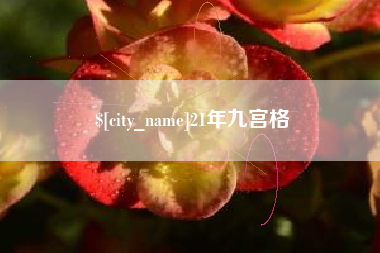 高密21年九宫格