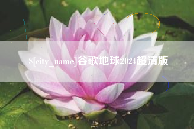 高密谷歌地球2024超清版