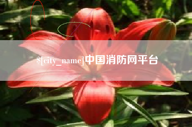 高密中国消防网平台
