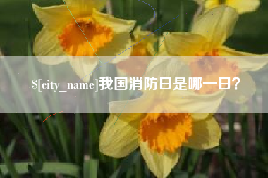 高密我国消防日是哪一日？