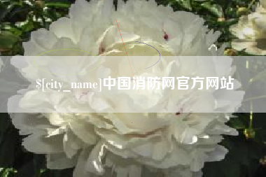 高密中国消防网官方网站