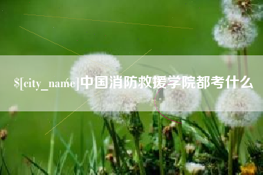 高密中国消防救援学院都考什么