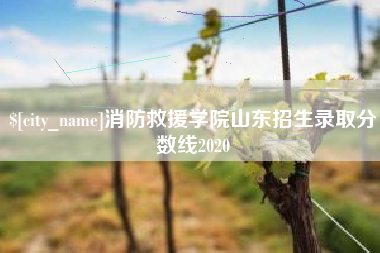 高密消防救援学院山东招生录取分数线2020