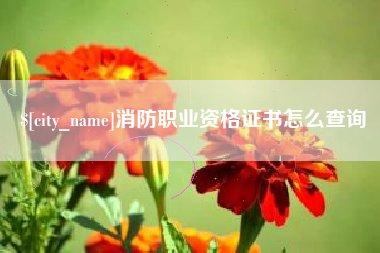 高密消防职业资格证书怎么查询
