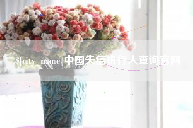 高密中国失信执行人查询官网