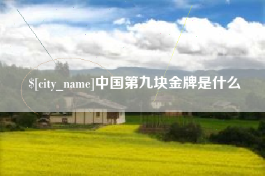 高密中国第九块金牌是什么