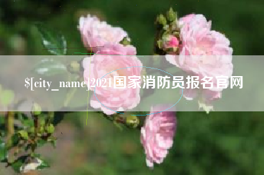 高密2021国家消防员报名官网